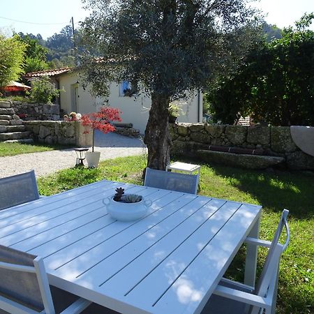Bed and Breakfast A Casa Com 2 Pereiras Терраш-де-Бору Екстер'єр фото