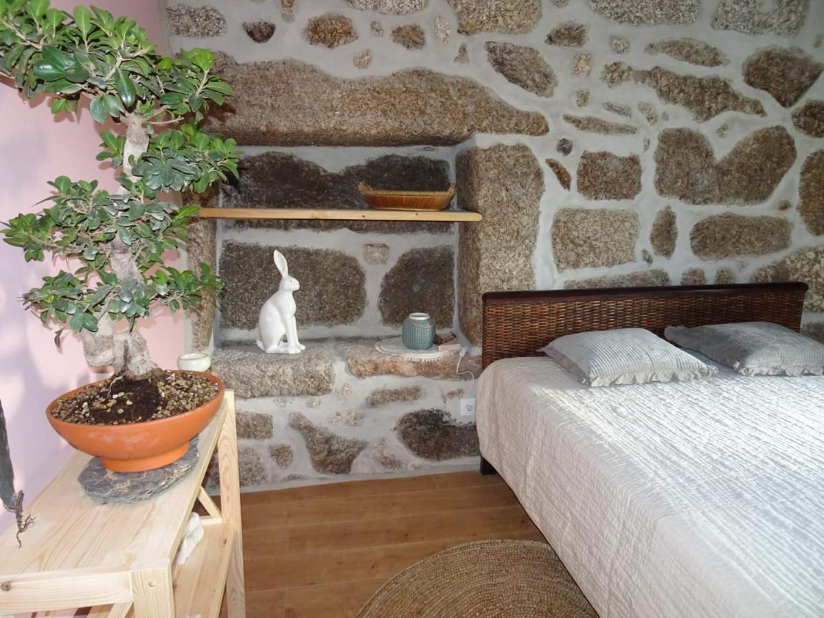 Bed and Breakfast A Casa Com 2 Pereiras Терраш-де-Бору Екстер'єр фото
