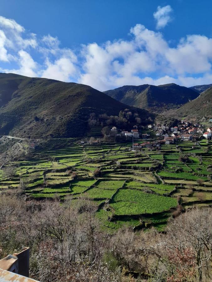 Bed and Breakfast A Casa Com 2 Pereiras Терраш-де-Бору Екстер'єр фото