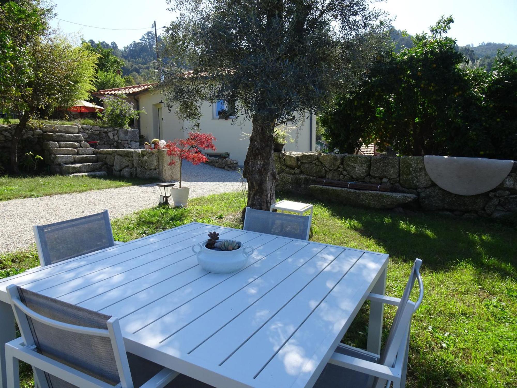 Bed and Breakfast A Casa Com 2 Pereiras Терраш-де-Бору Екстер'єр фото