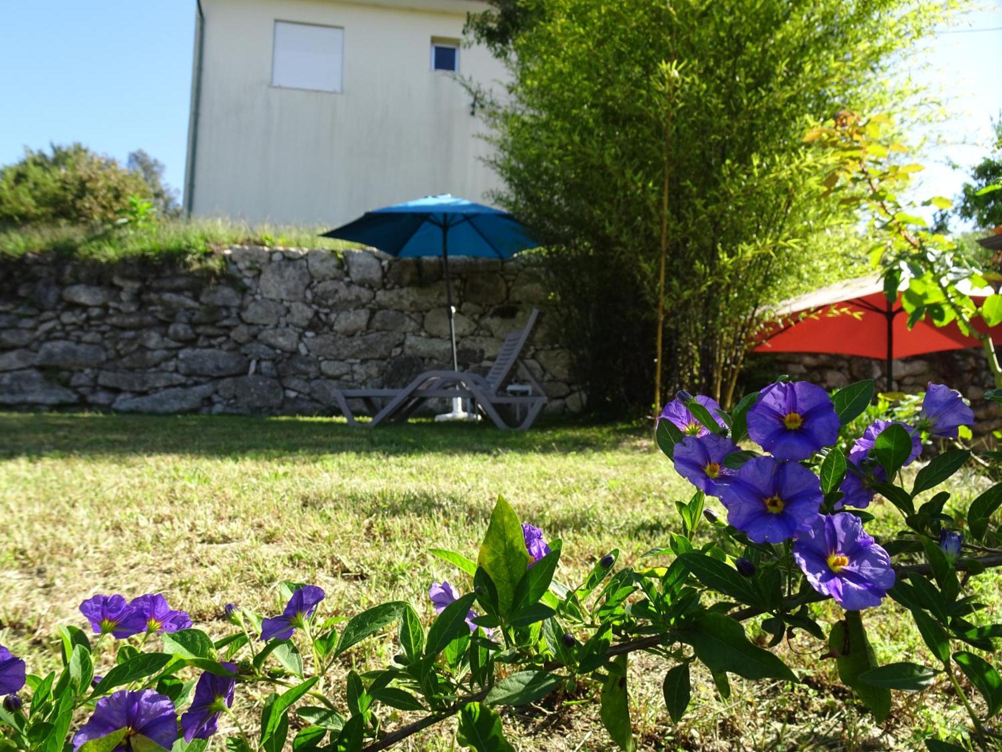 Bed and Breakfast A Casa Com 2 Pereiras Терраш-де-Бору Екстер'єр фото
